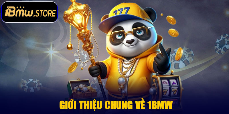 Giới Thiệu Chung Về 1BMW