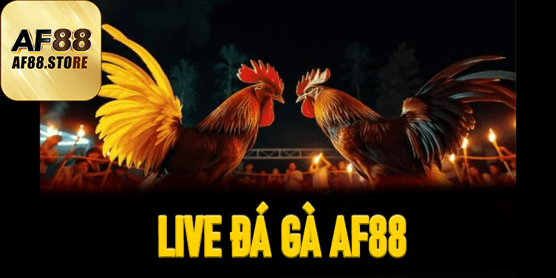 Live Đá Gà AF88